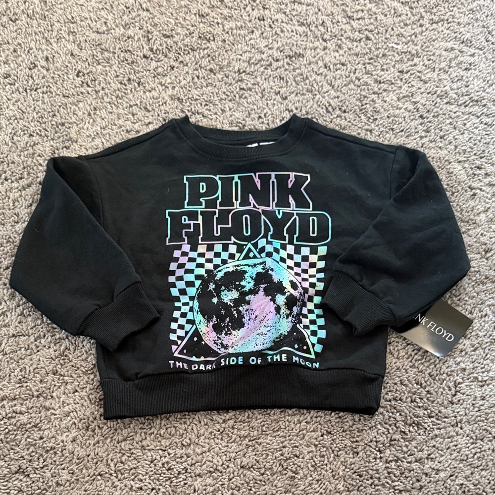 Pink Floyd Kids Black and Purple Graphic Hoodie